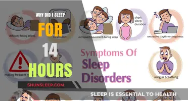 Unraveling the Mystery: Excessive Sleep and Its Hidden Causes