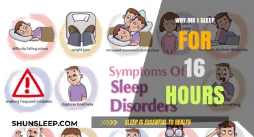 Unraveling the Mystery: Why I Slept for 16 Hours Straight