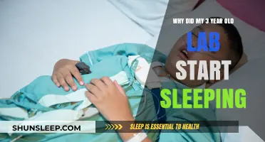 Lab Sleeping Patterns: Why the Change?