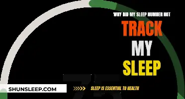 Sleep Number Not Tracking Sleep: What's the Issue?