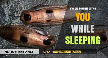 Why Roaches Crawl on You at Night: Uncovering the Truth