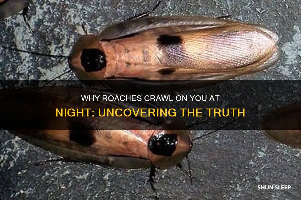 why did roaches get on you while sleeping