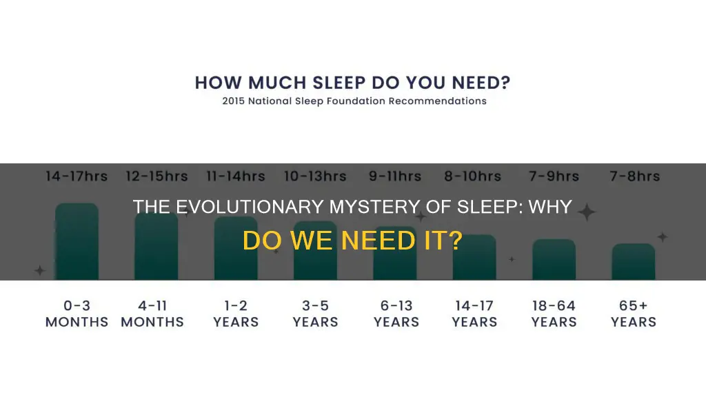 why did we evolve to need sleep