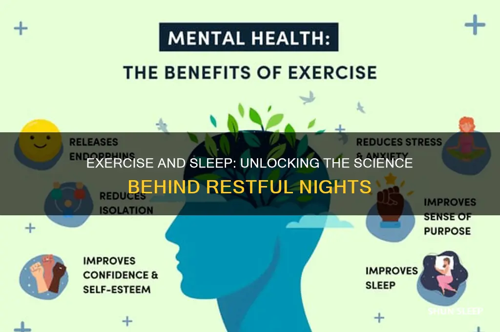 why dkes execise help sleep