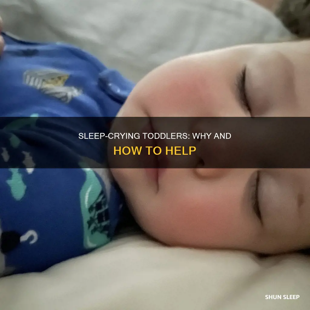 why do 3 year old cry in their sleep