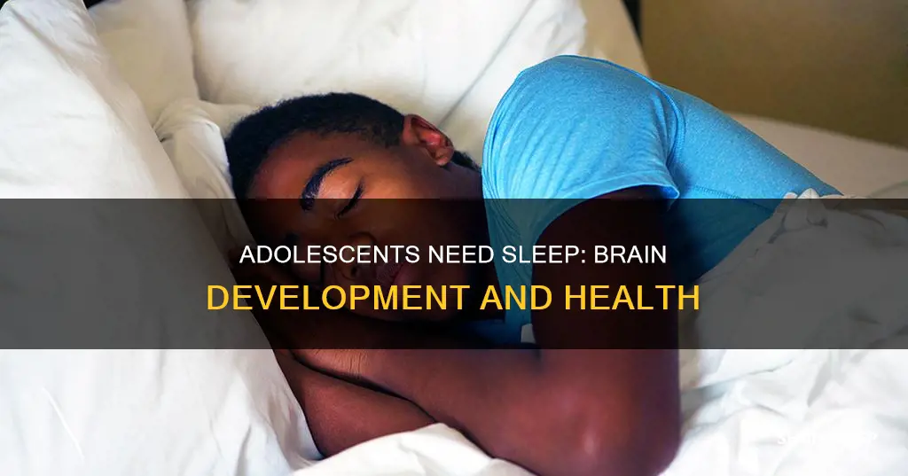 why do adolscents need the most sleep