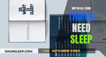 Sleep: A Universal Need for All Living Things