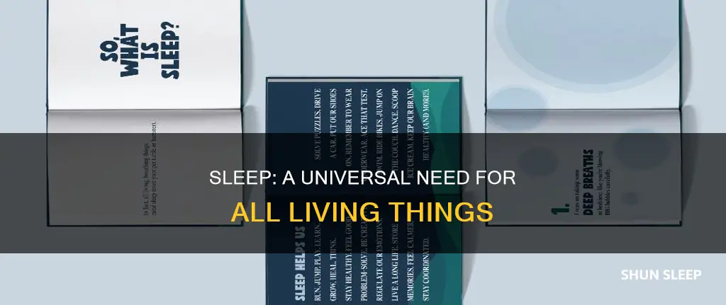 why do all living things need sleep