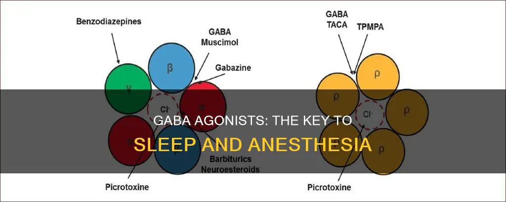why do anesthetics and sleeping pills use gaba agonists