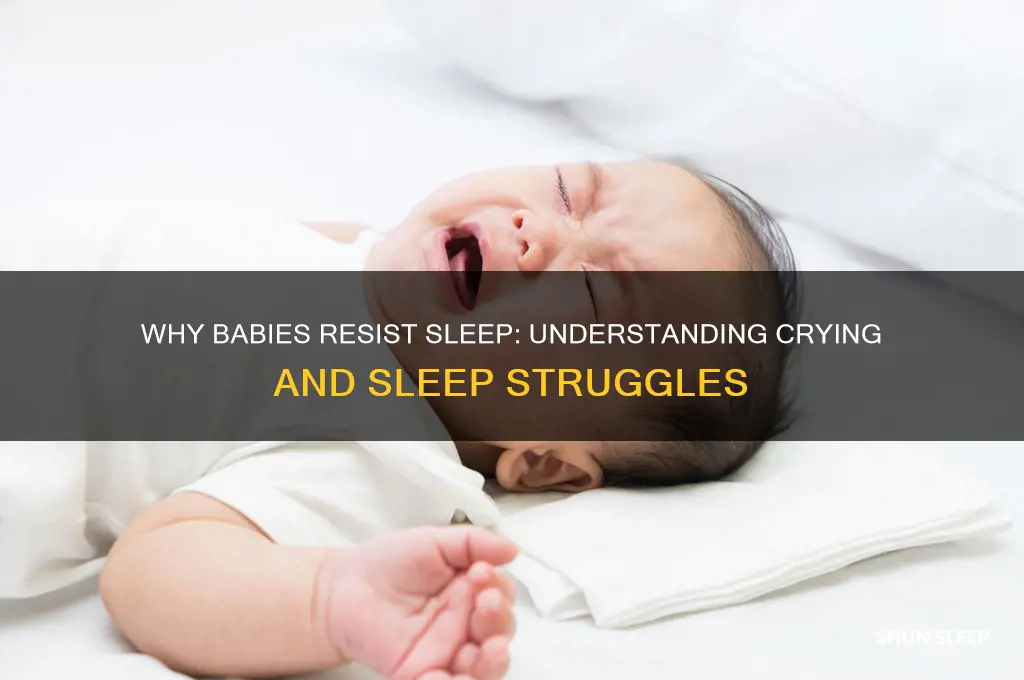 why do babies fight sleep and cry