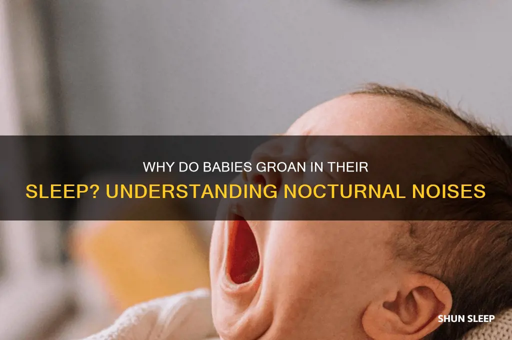 why do babies groan in their sleep