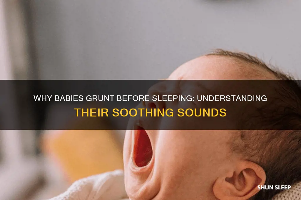 why do babies grunt before sleeping