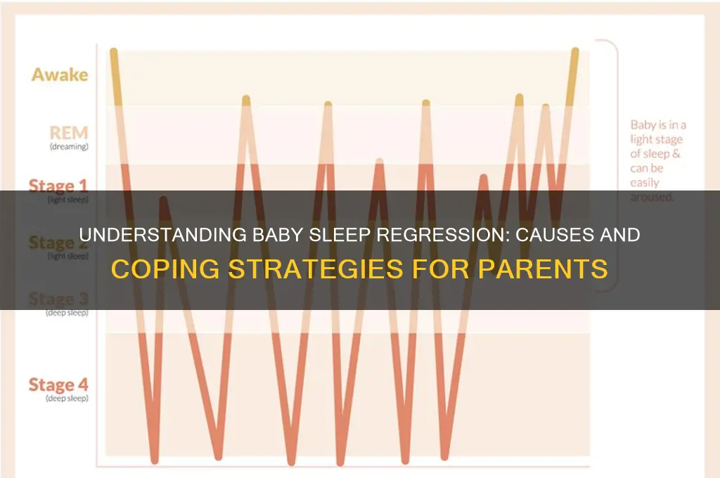 why do babies have a sleep regression