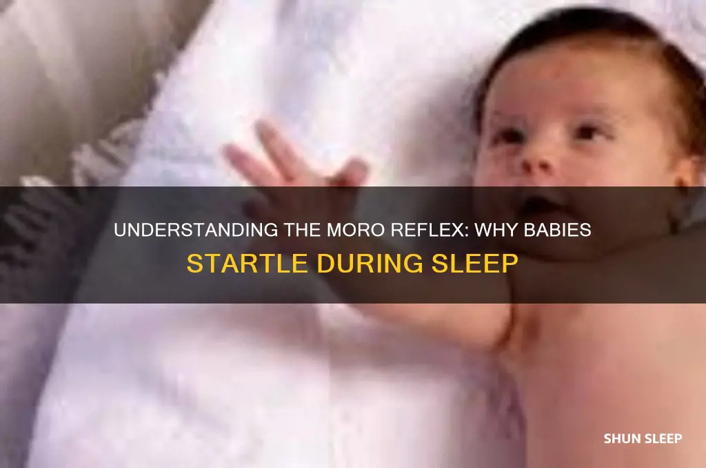 why do babies have startle reflex while sleeping
