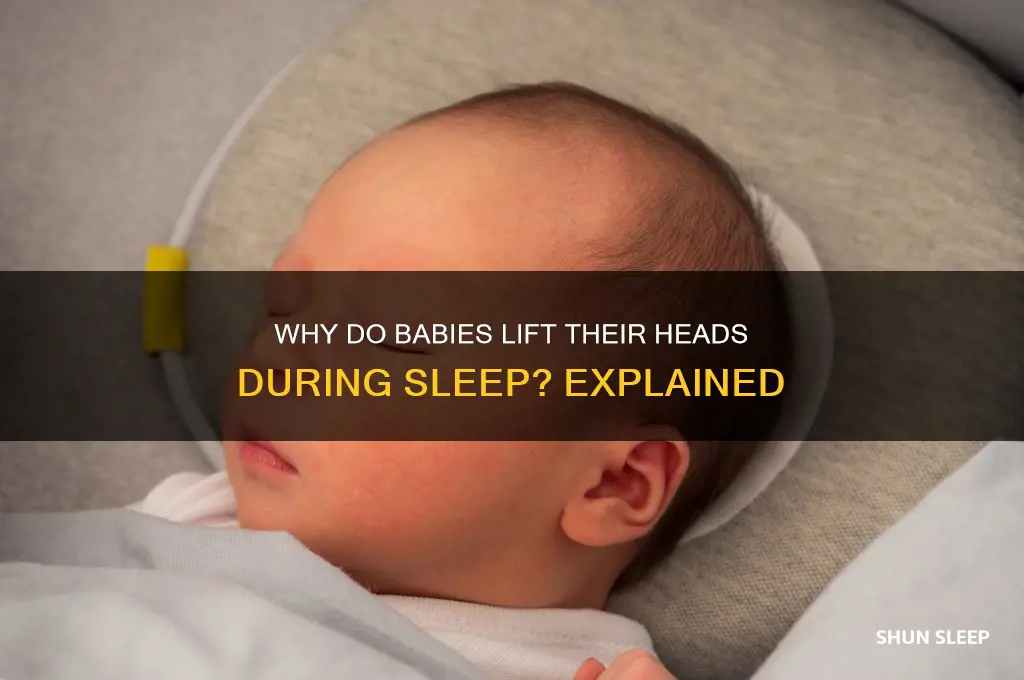 why do babies lift their head while sleeping