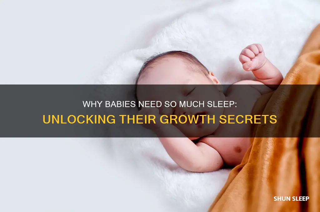 why do babies need a lot of sleep