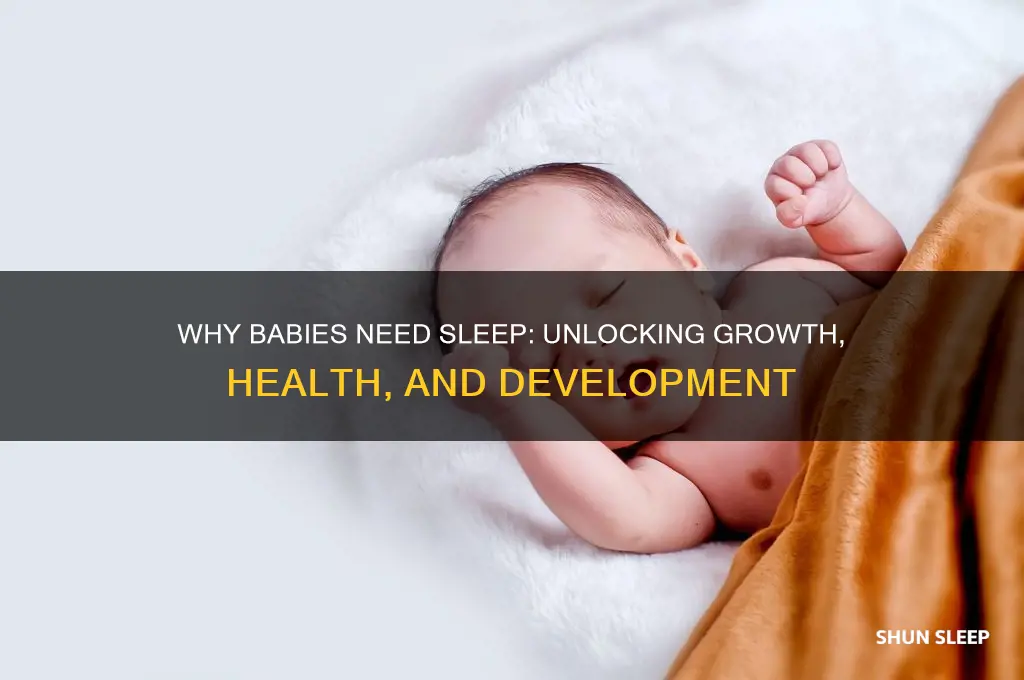 why do babies need sleep and rest