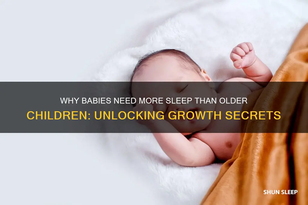 why do babies need to sleep more than childre