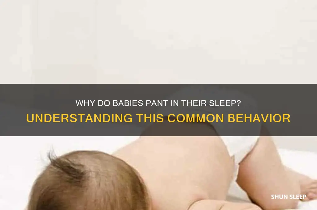 why do babies pant in their sleep