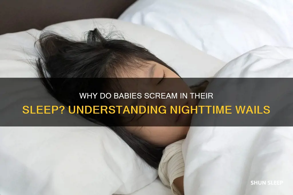 why do babies scream in their sleep