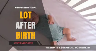 Newborn Sleep Patterns: Understanding Why Babies Sleep So Much After Birth