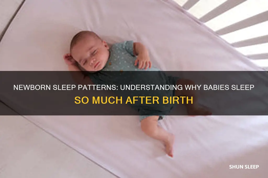 why do babies sleep a lot after birth