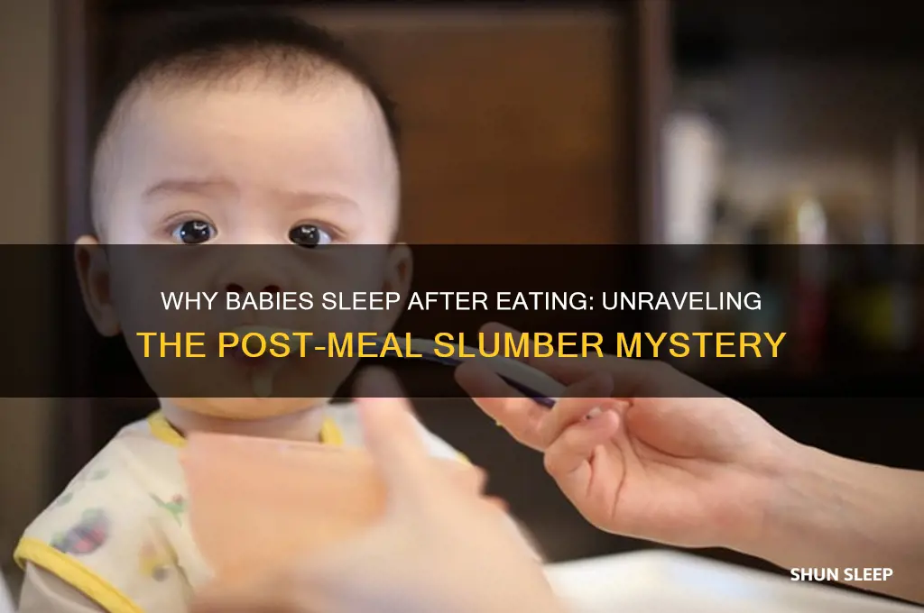 why do babies sleep after eating