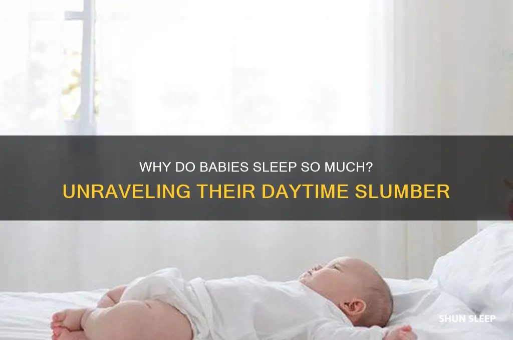 why do babies sleep all day