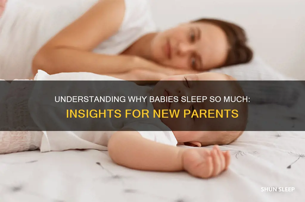 why do babies sleep alot