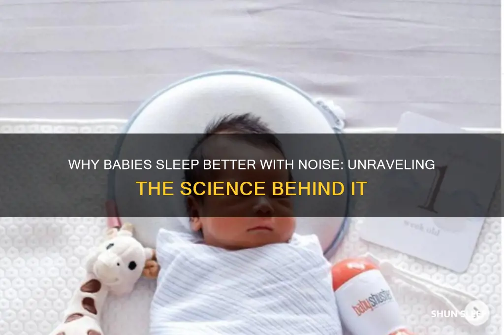 why do babies sleep better with noise
