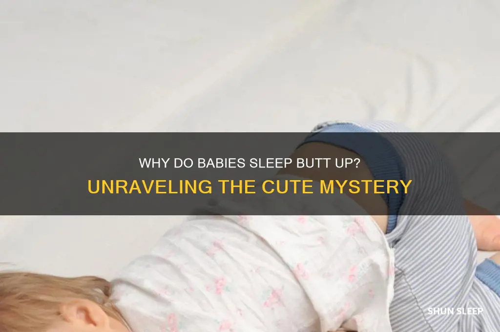 why do babies sleep butt up