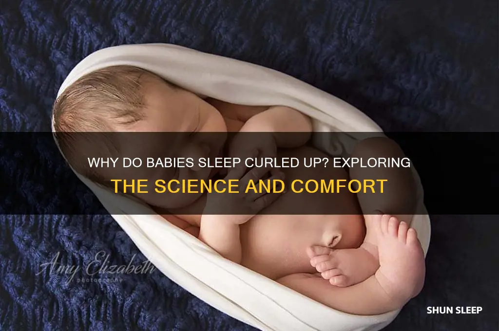 why do babies sleep curle