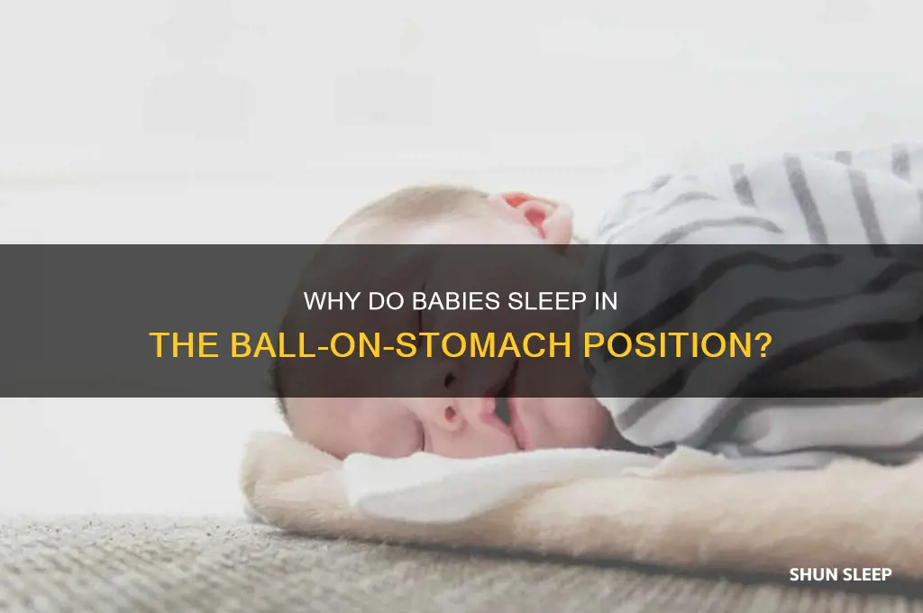 why do babies sleep in ball on stomach