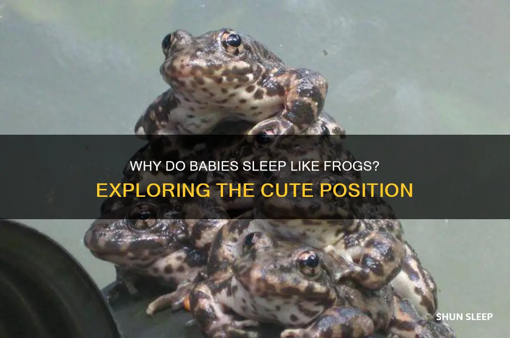 why do babies sleep like a frog