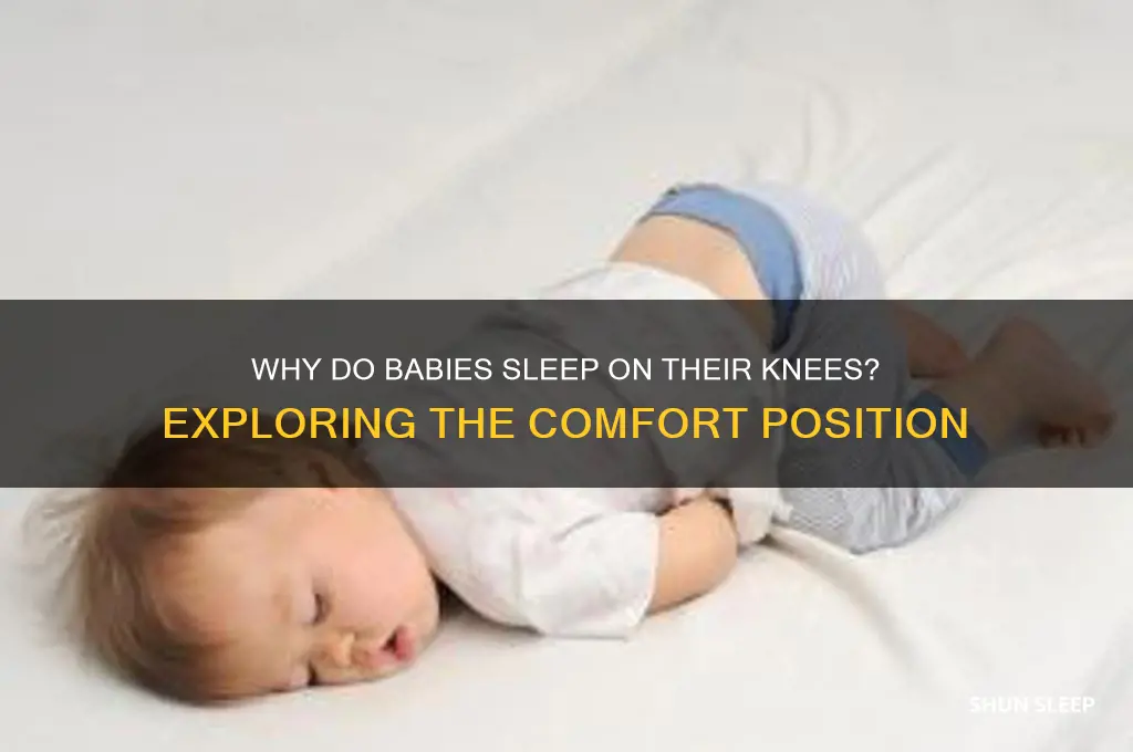 why do babies sleep on knees
