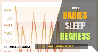 Understanding Baby Sleep Regression: Causes, Signs, and Coping Strategies