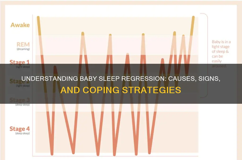 why do babies sleep regress