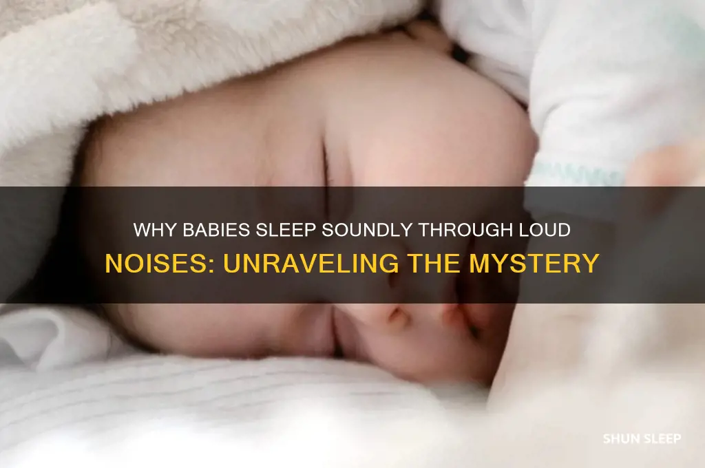 why do babies sleep through loud noises