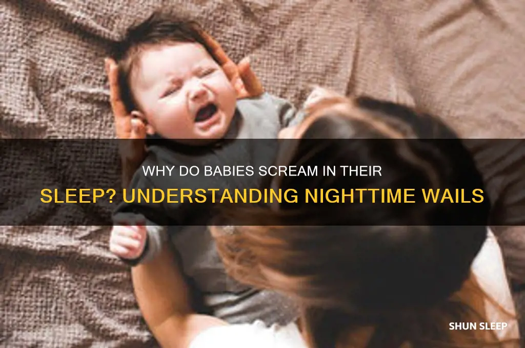 why do baby scream in their sleep