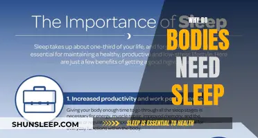 Sleep: The Body's Essential Recharge for Optimal Functioning