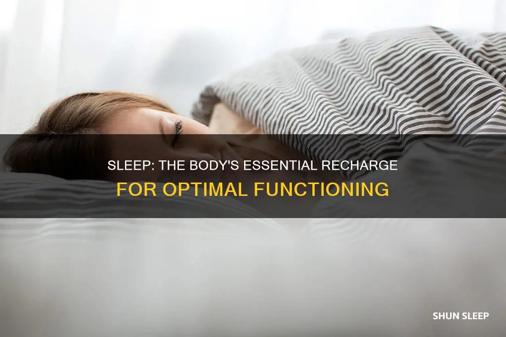why do bodies need sleep