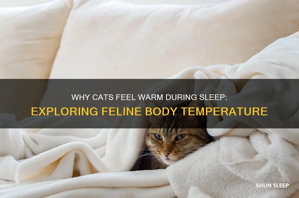 why do cats get hot when they sleep