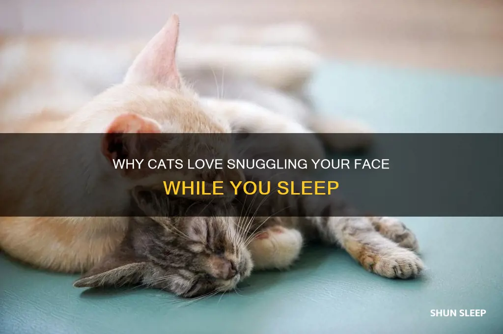 why do cats get in your face when you sleep