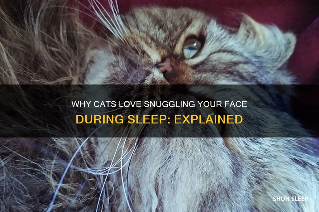 why do cats get in your face while you sleep