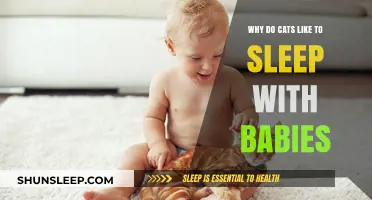 Why Cats Love Sleeping with Babies: Uncovering the Adorable Bond
