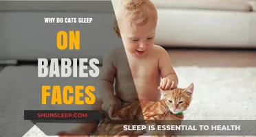 Why Cats Sleep on Babies' Faces: Unraveling the Adorable Mystery