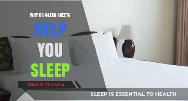 Clean Sheets, Better Sleep: The Science Behind Fresh Bedding