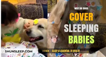 Why Dogs Instinctively Cover Sleeping Babies: Unraveling the Heartwarming Behavior