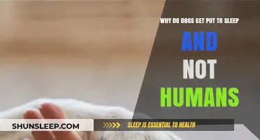 Euthanasia Ethics: Why Dogs, Not Humans, Are Put to Sleep