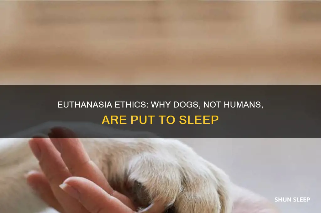 why do dogs get put to sleep and not humans